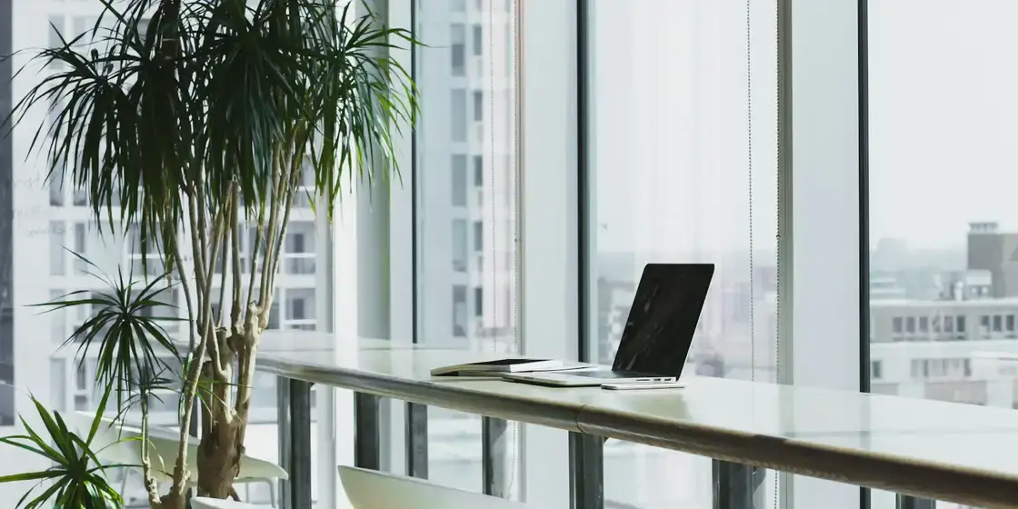 Mesa de trabajo junto a un ventanal con un portátil abierto y plantas alrededor